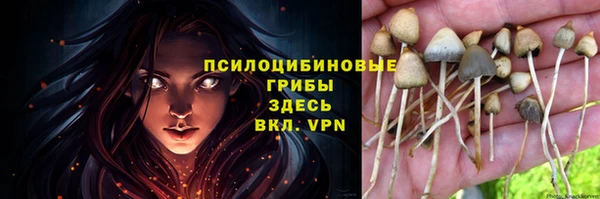 хмурый Михайловка