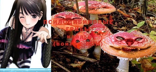 марки nbome Бердск