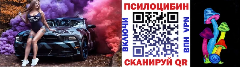 Псилоцибиновые грибы Psilocybine cubensis  Нерчинск 